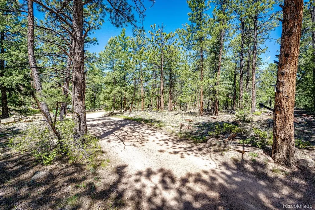S Wandcrest Drive Pine CO 80470
