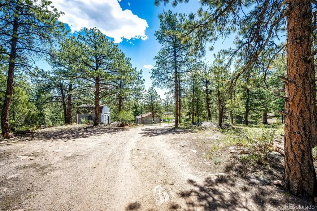 S Wandcrest Drive Pine CO 80470