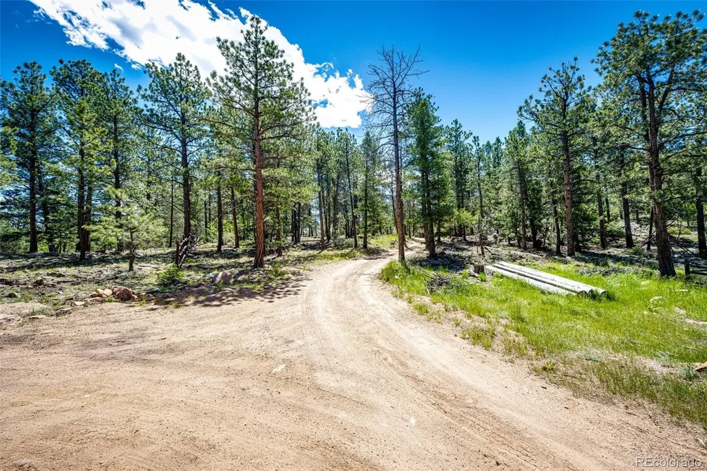 S Wandcrest Drive Pine CO 80470