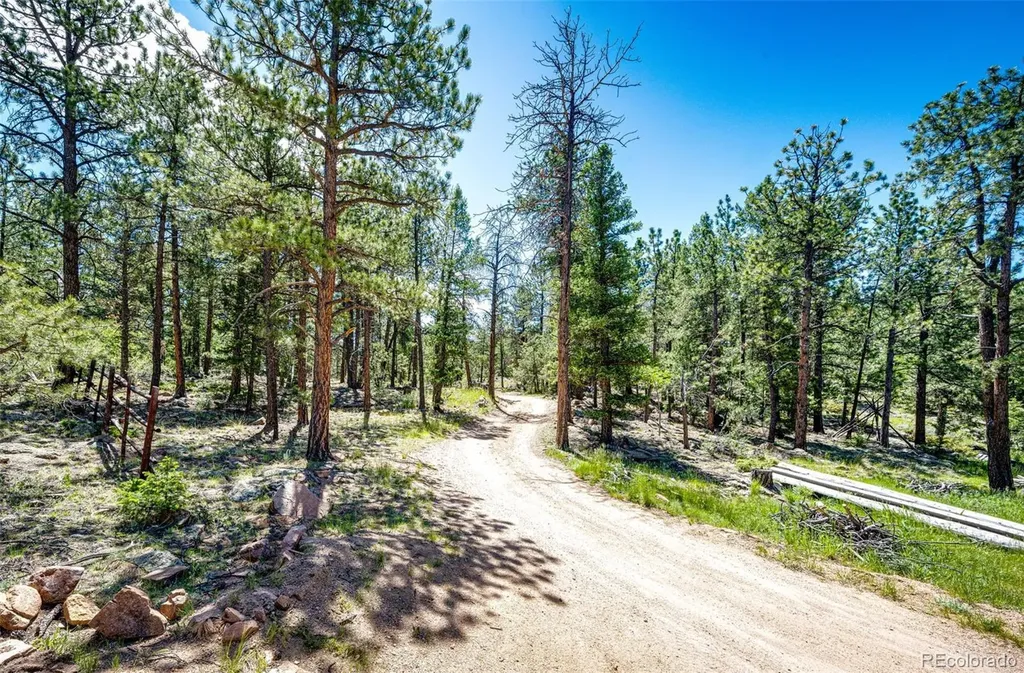 S Wandcrest Drive Pine CO 80470