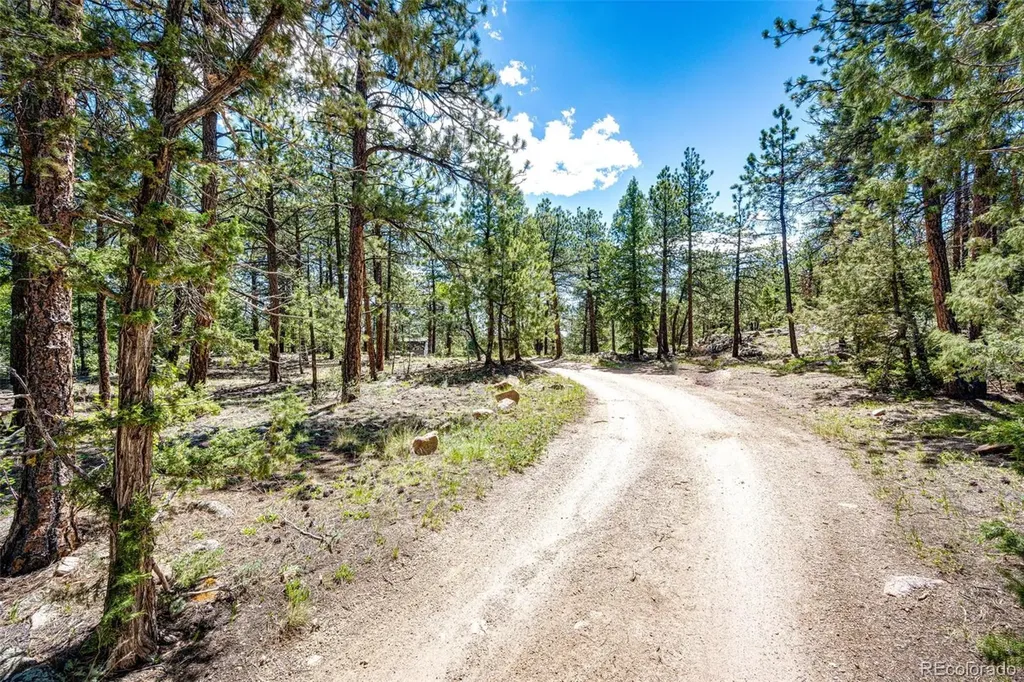 S Wandcrest Drive Pine CO 80470