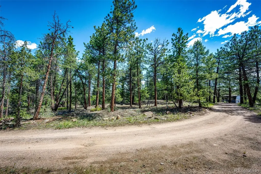 S Wandcrest Drive Pine CO 80470