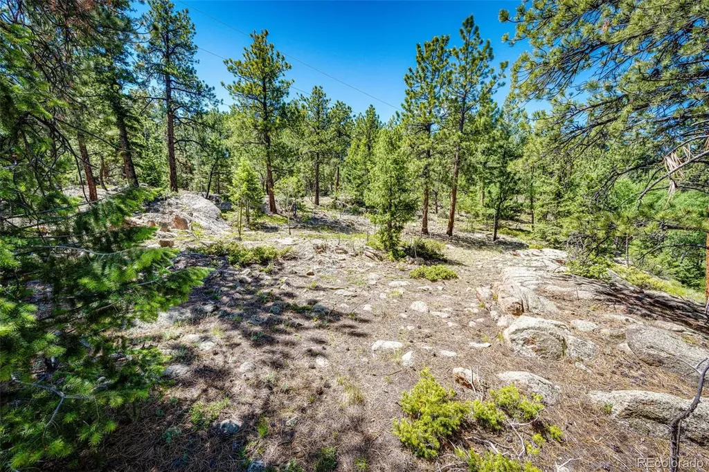 S Wandcrest Drive Pine CO 80470