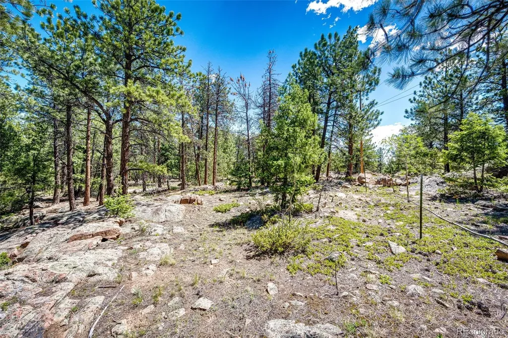 S Wandcrest Drive Pine CO 80470