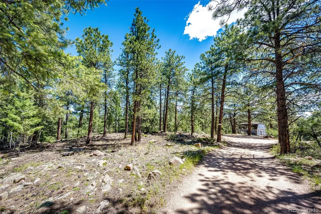 S Wandcrest Drive Pine CO 80470