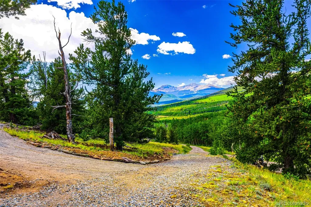 210 Pine Ridge Road Fairplay CO 80440