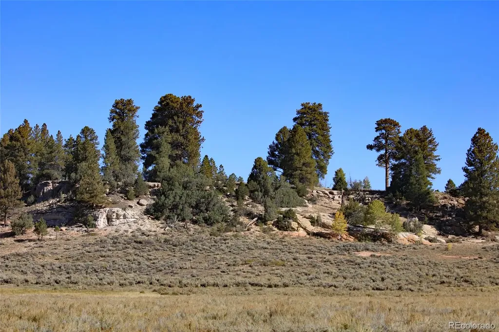 000 Divide (Louie Pasture) Road Whitewater CO 81527