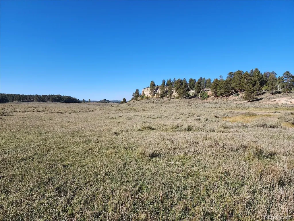 000 Divide (Louie Pasture) Road Whitewater CO 81527