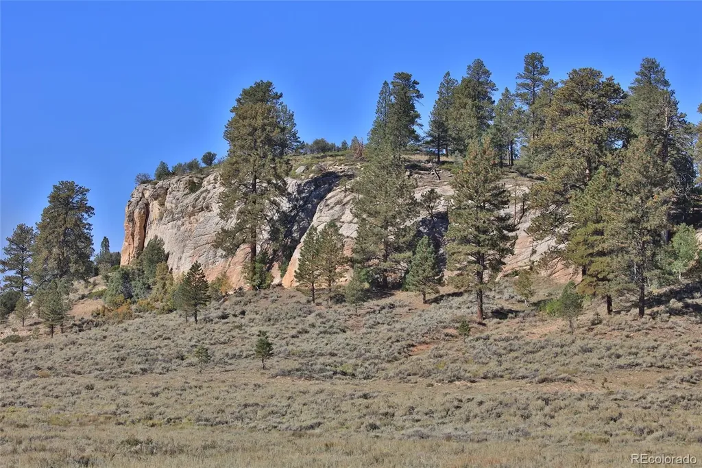 000 Divide (Louie Pasture) Road Whitewater CO 81527