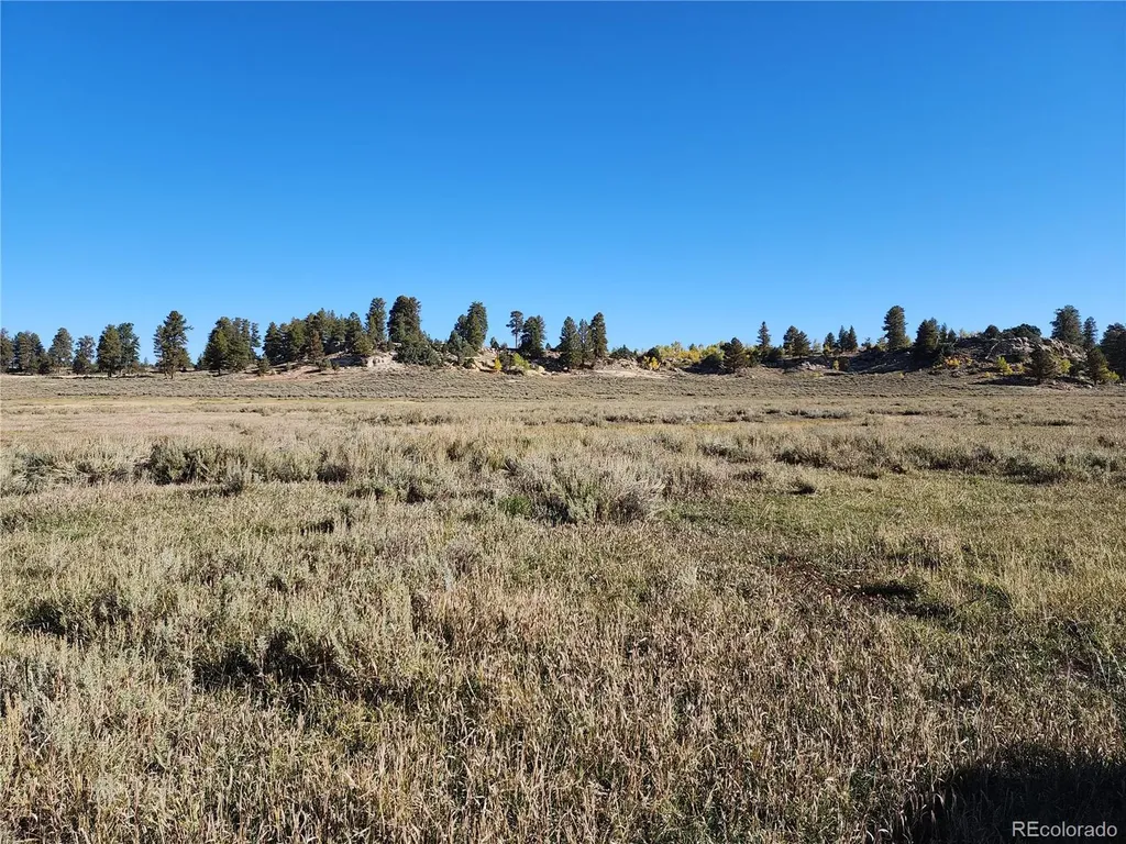 000 Divide (Louie Pasture) Road Whitewater CO 81527