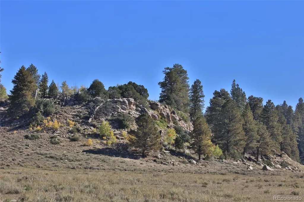 000 Divide (Louie Pasture) Road Whitewater CO 81527
