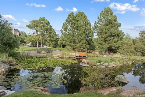 10145 Meadow Run Parker CO 80134