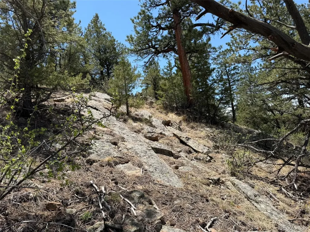 477 Bear Peak Road Westcliffe CO 81252