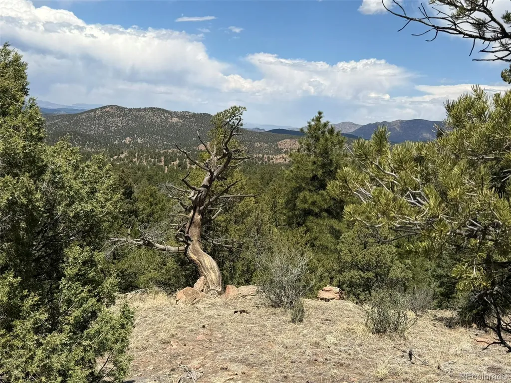 477 Bear Peak Road Westcliffe CO 81252