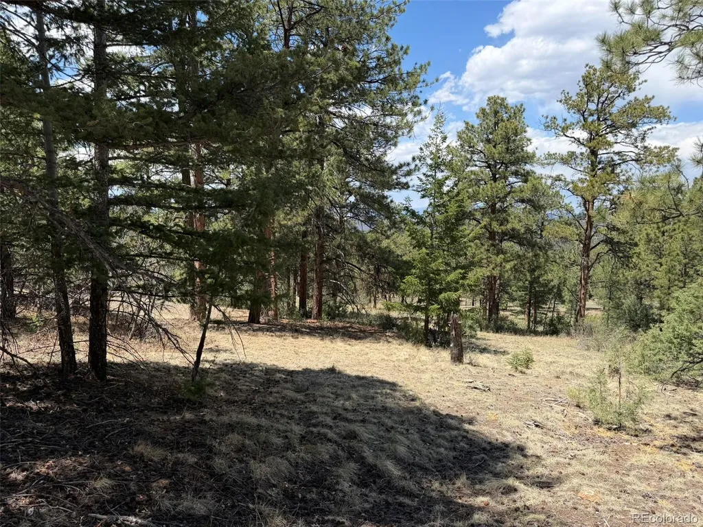 477 Bear Peak Road Westcliffe CO 81252