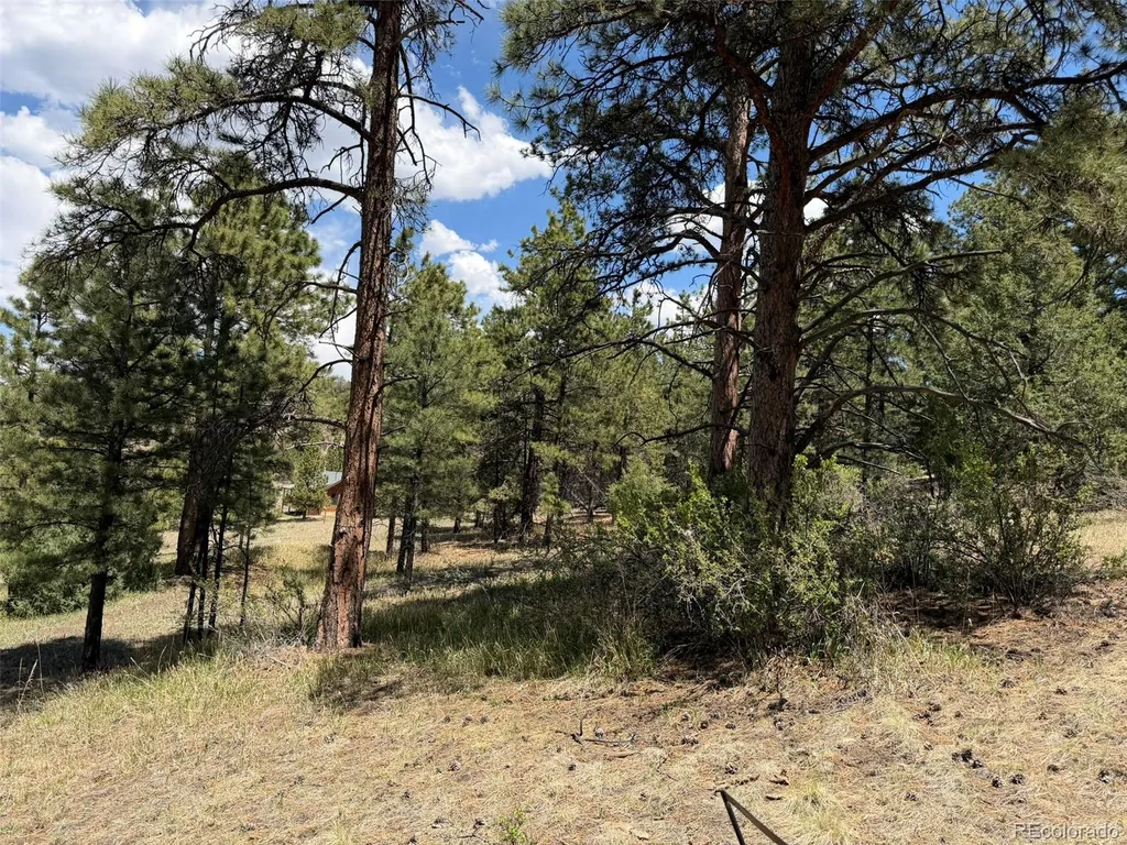 477 Bear Peak Road Westcliffe CO 81252