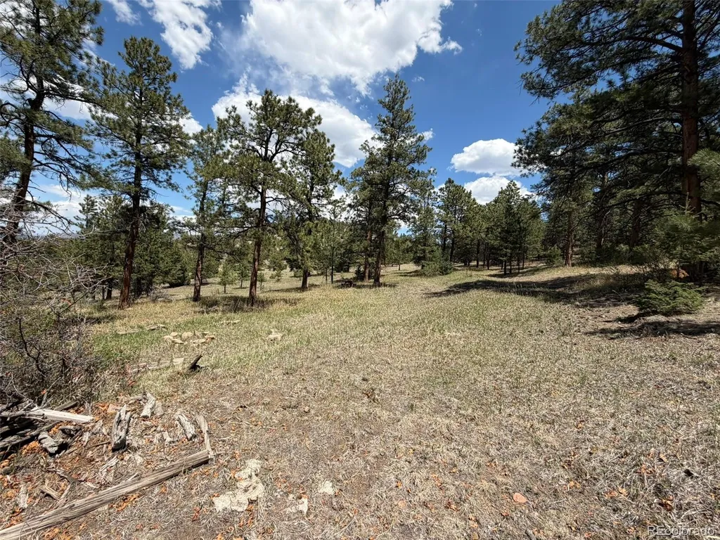 477 Bear Peak Road Westcliffe CO 81252