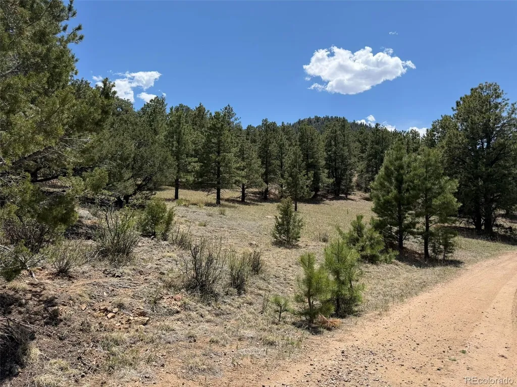 477 Bear Peak Road Westcliffe CO 81252