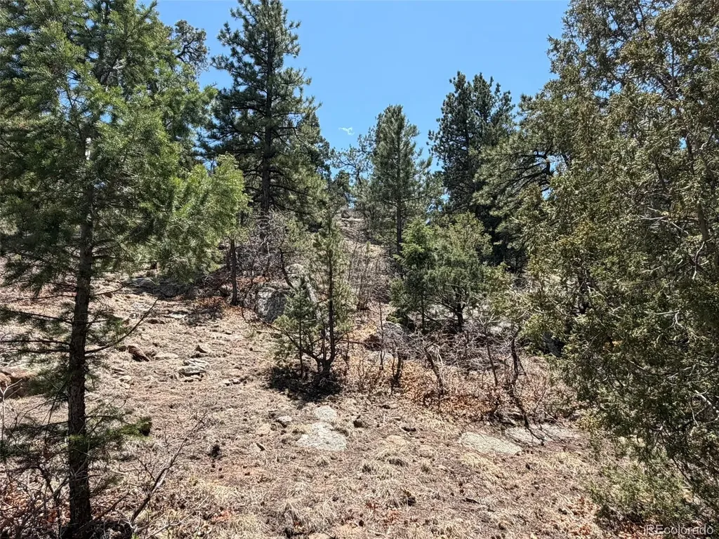 477 Bear Peak Road Westcliffe CO 81252