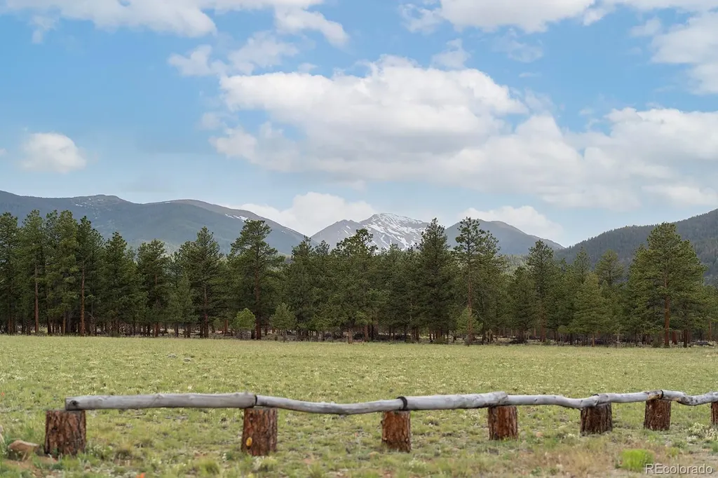 31322 N Meadow Way Buena Vista CO 81211