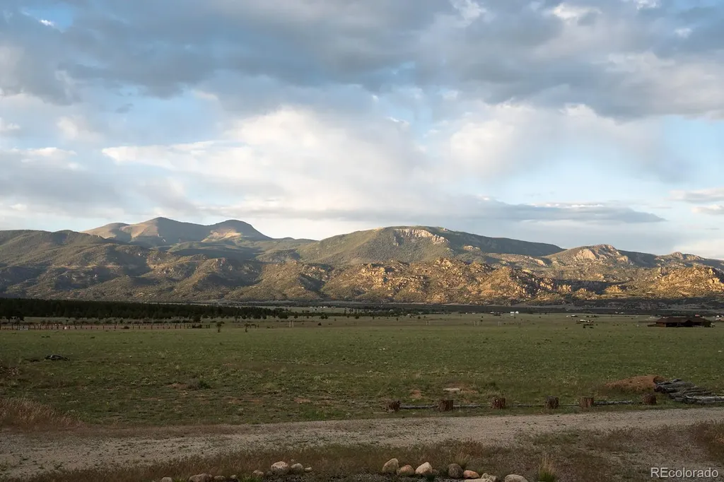 31322 N Meadow Way Buena Vista CO 81211
