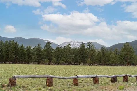 31322 N Meadow Way Buena Vista CO 81211
