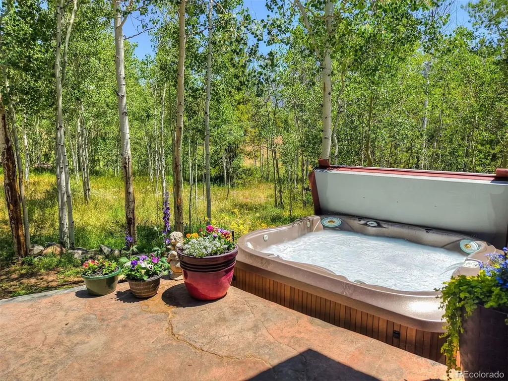 1725 Falcon Drive Silverthorne CO 80498