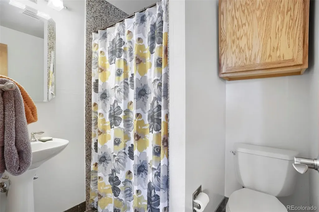 6456 Wind Hollow Court Parker CO 80134