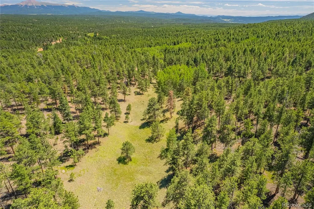 Lot 2 County Road 51 Florissant CO 80816