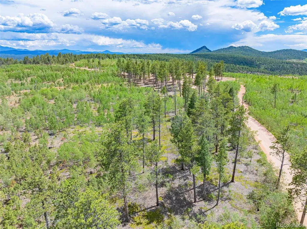 Lot 2 County Road 51 Florissant CO 80816