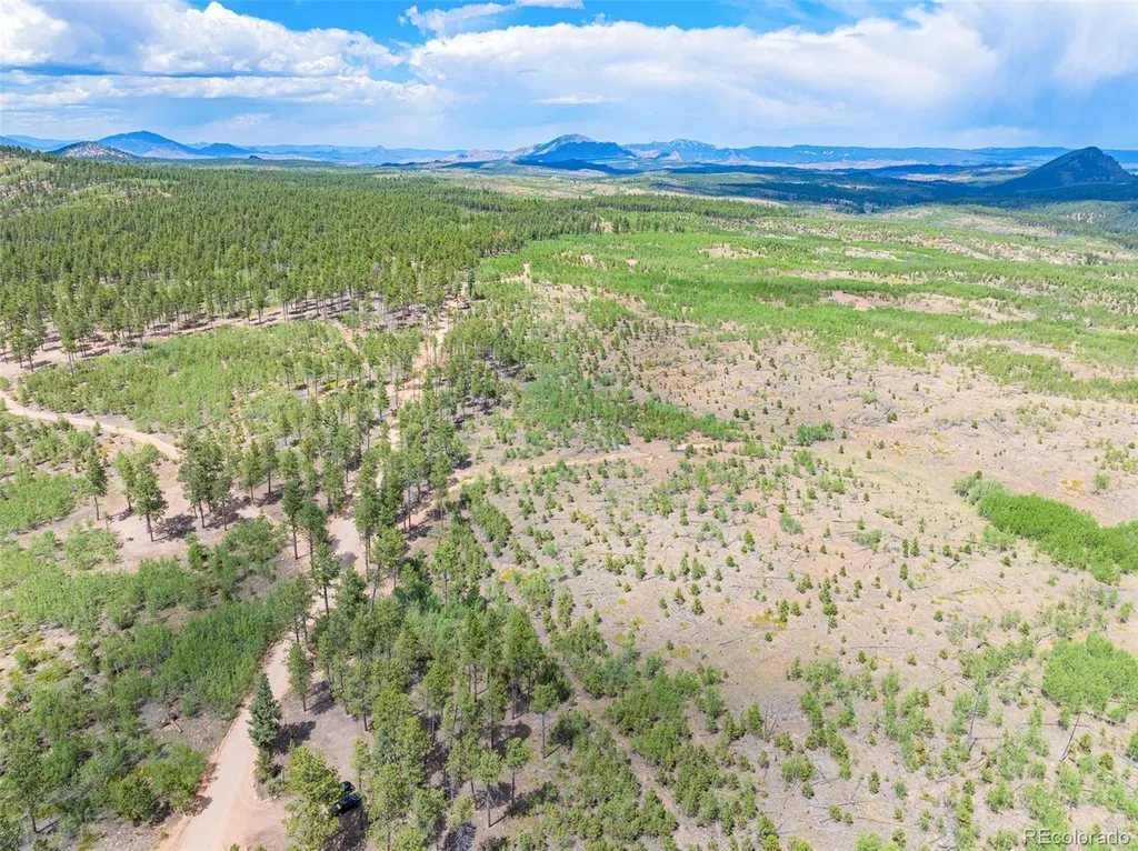 Lot 2 County Road 51 Florissant CO 80816