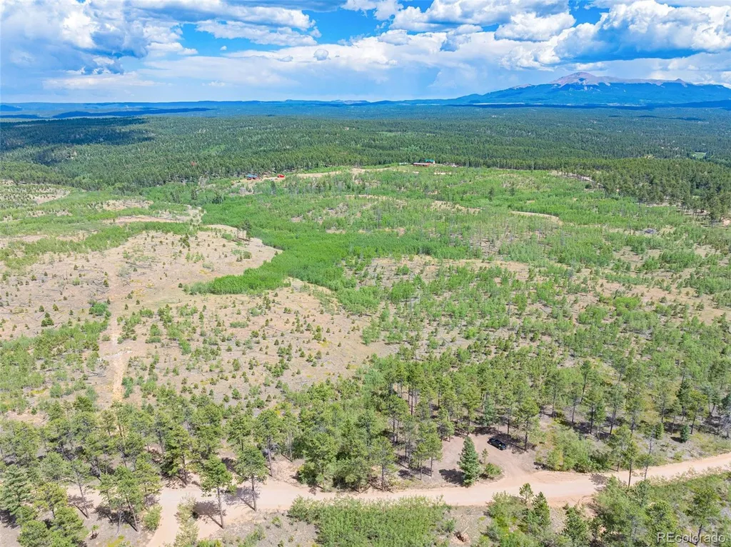 Lot 2 County Road 51 Florissant CO 80816