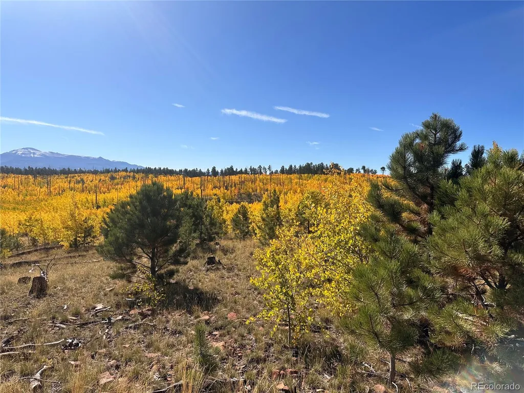 Lot 2 County Road 51 Florissant CO 80816