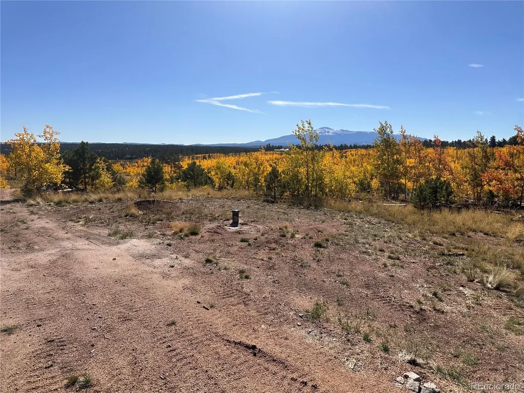 Lot 2 County Road 51 Florissant CO 80816
