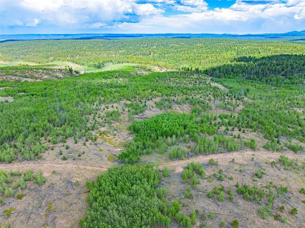 Lot 2 County Road 51 Florissant CO 80816