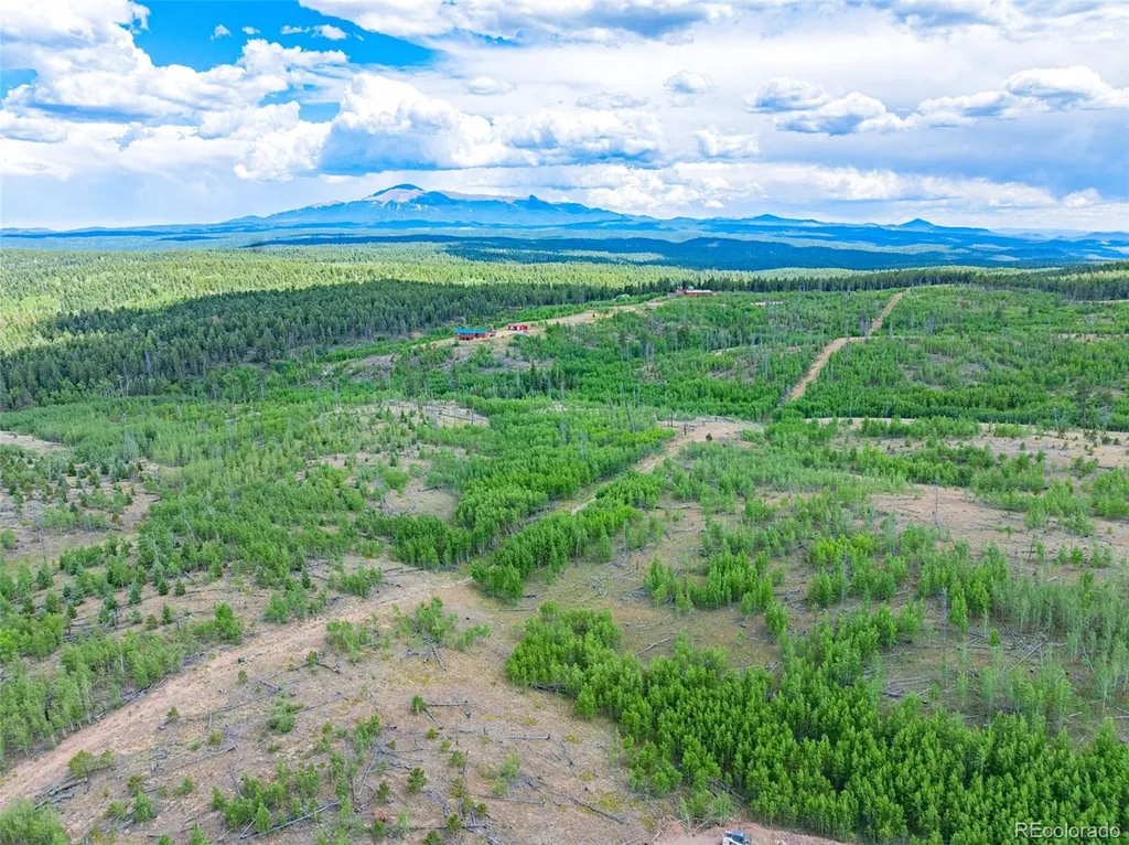 Lot 2 County Road 51 Florissant CO 80816