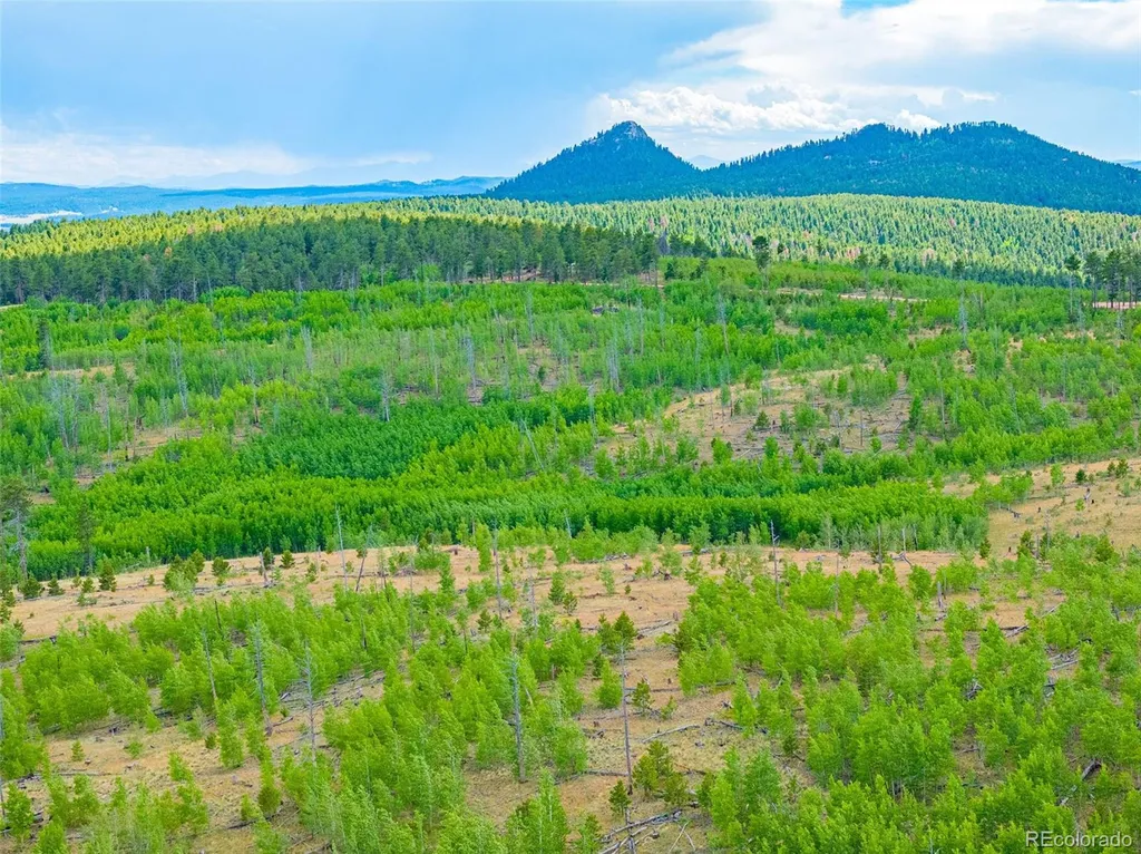 Lot 2 County Road 51 Florissant CO 80816