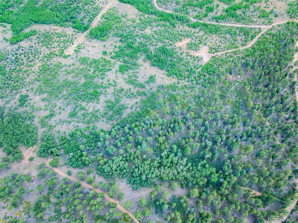 Lot 2 County Road 51 Florissant CO 80816