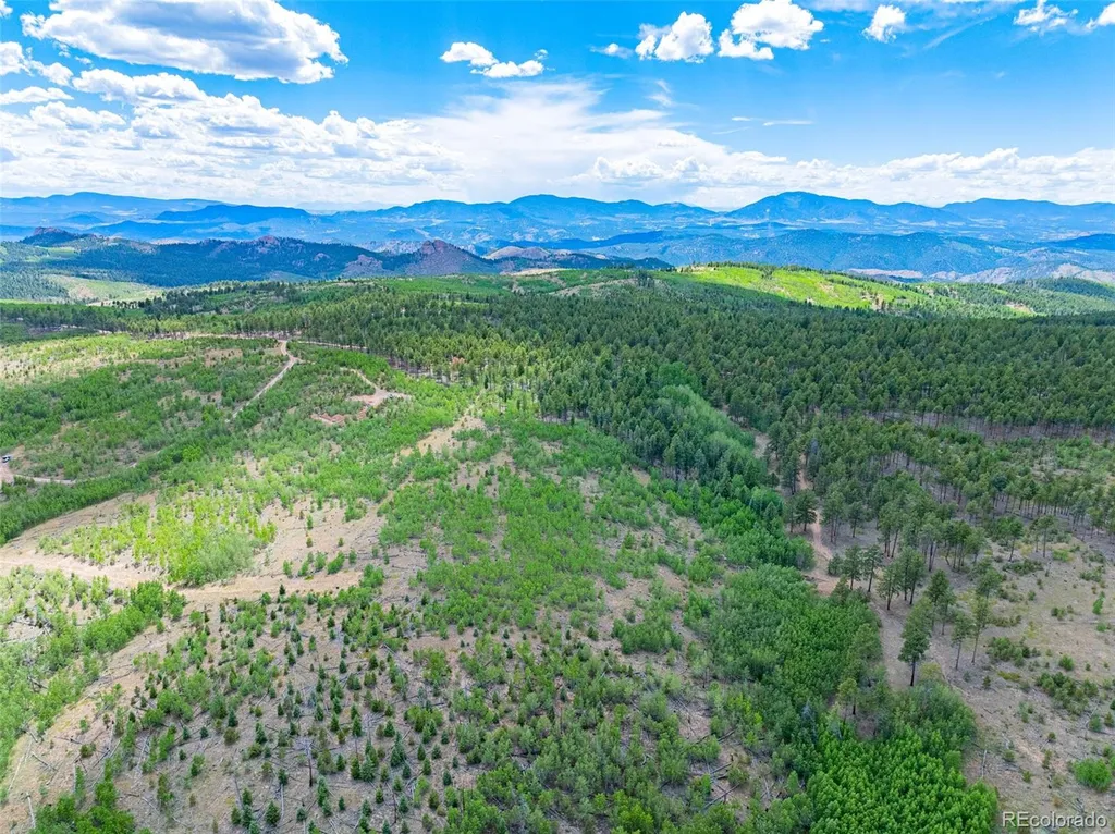 Lot 2 County Road 51 Florissant CO 80816