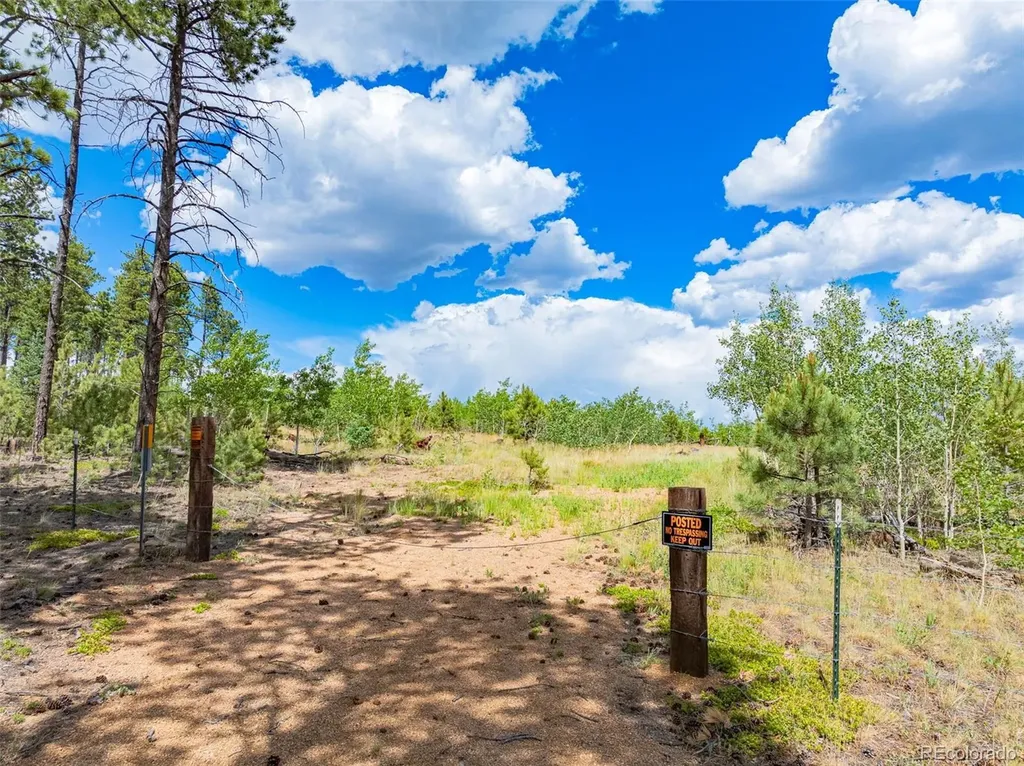Lot 2 County Road 51 Florissant CO 80816
