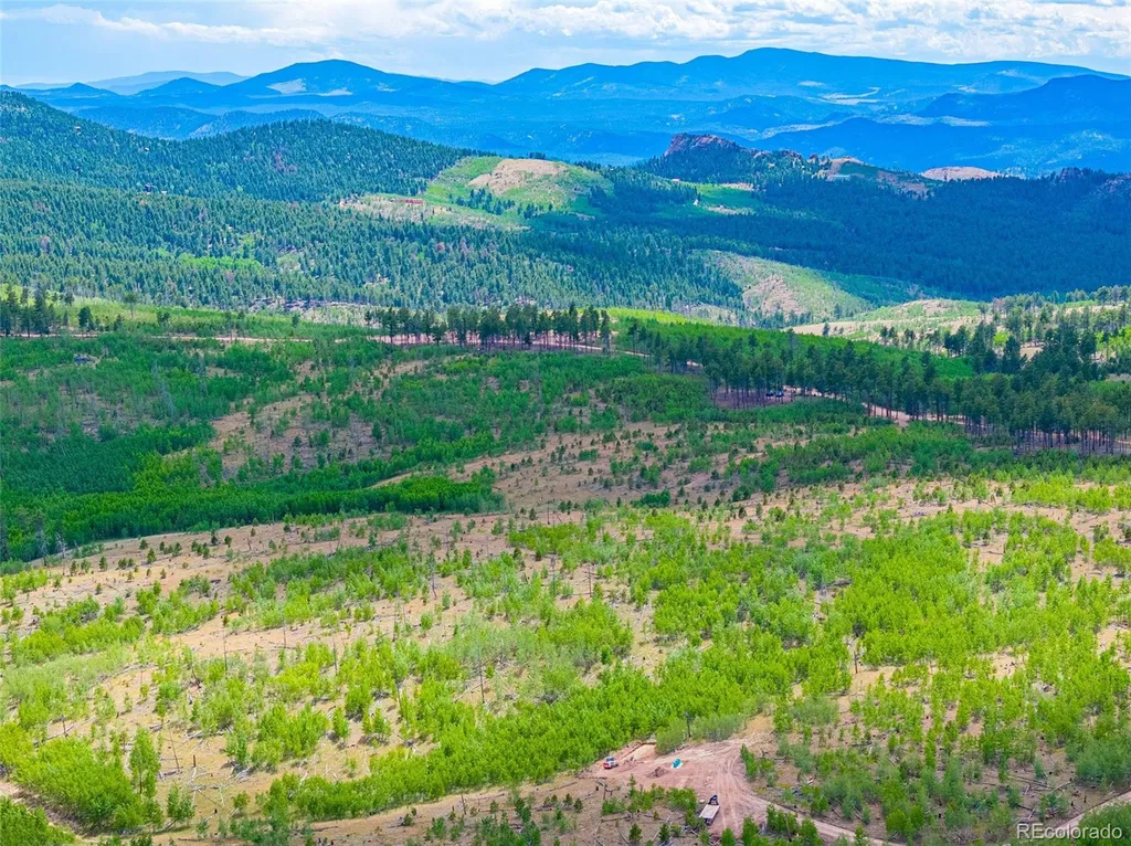 Lot 2 County Road 51 Florissant CO 80816