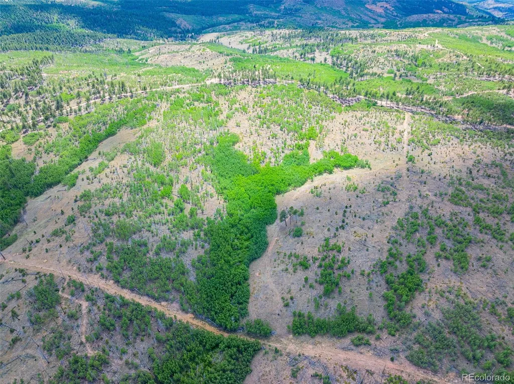 Lot 2 County Road 51 Florissant CO 80816