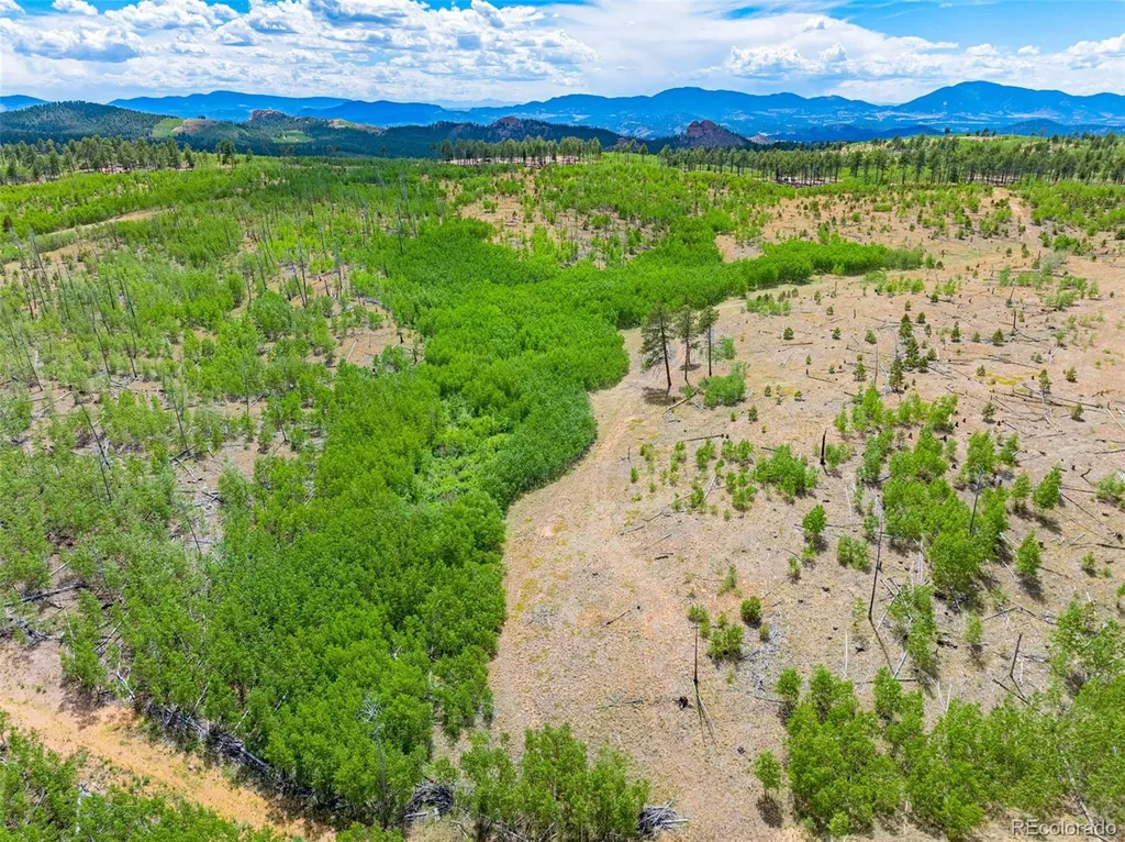 Lot 2 County Road 51 Florissant CO 80816
