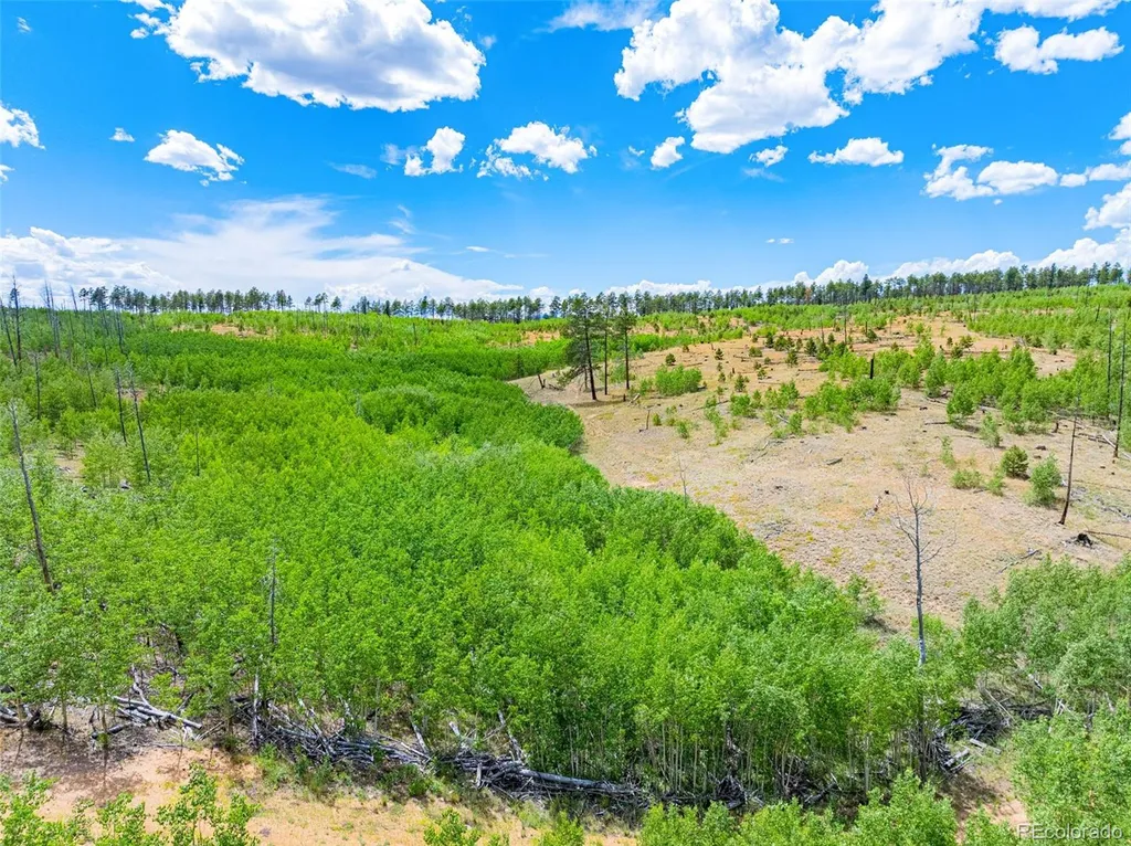 Lot 2 County Road 51 Florissant CO 80816
