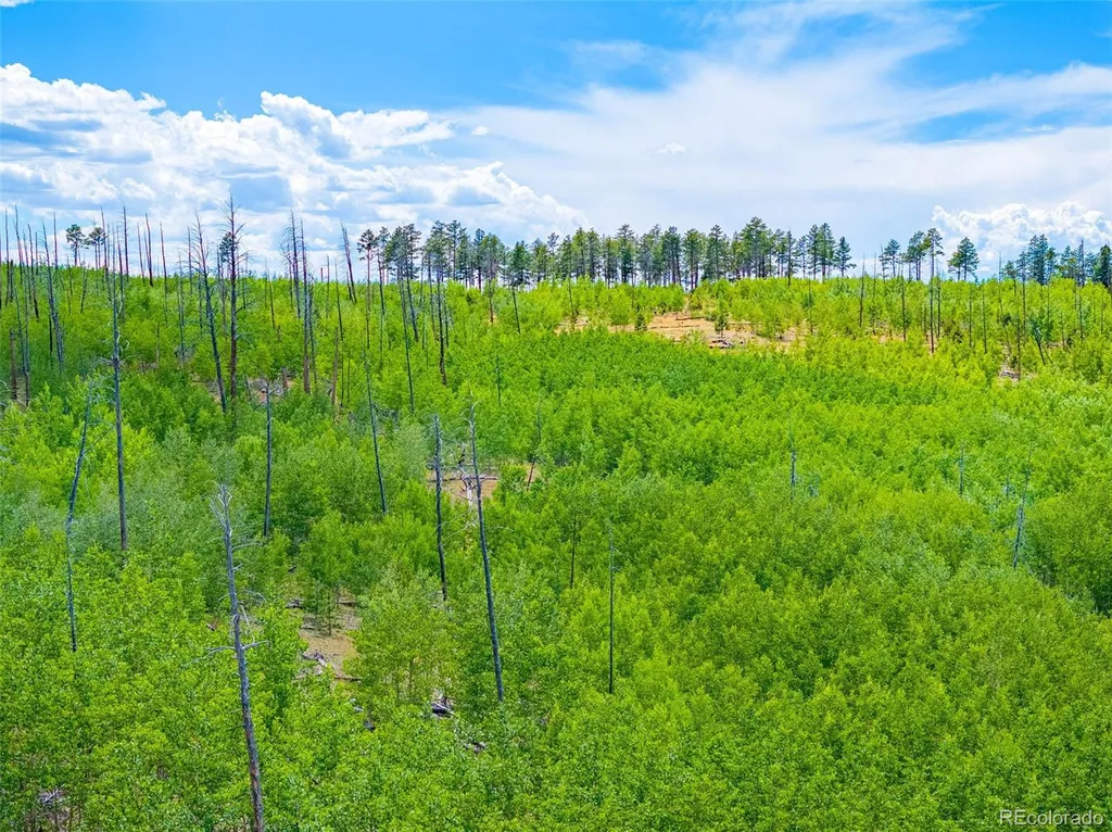 Lot 2 County Road 51 Florissant CO 80816