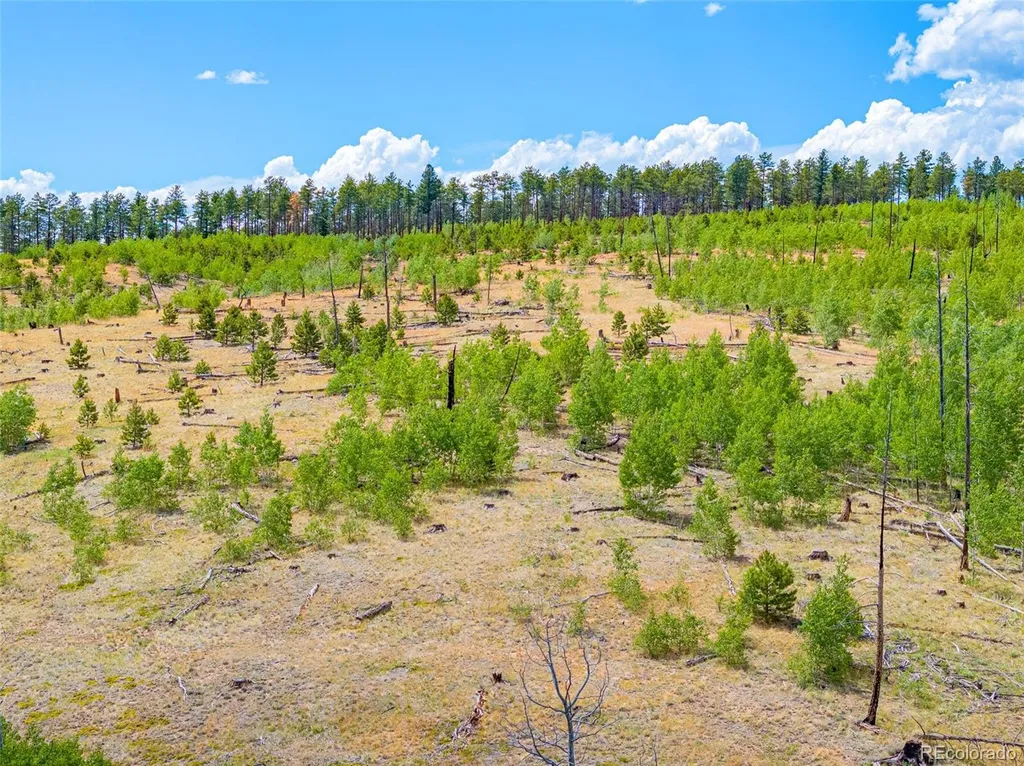 Lot 2 County Road 51 Florissant CO 80816
