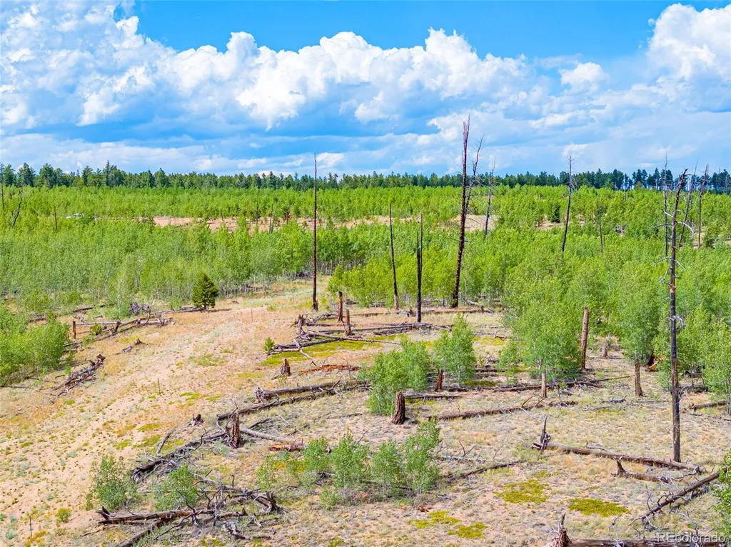 Lot 2 County Road 51 Florissant CO 80816
