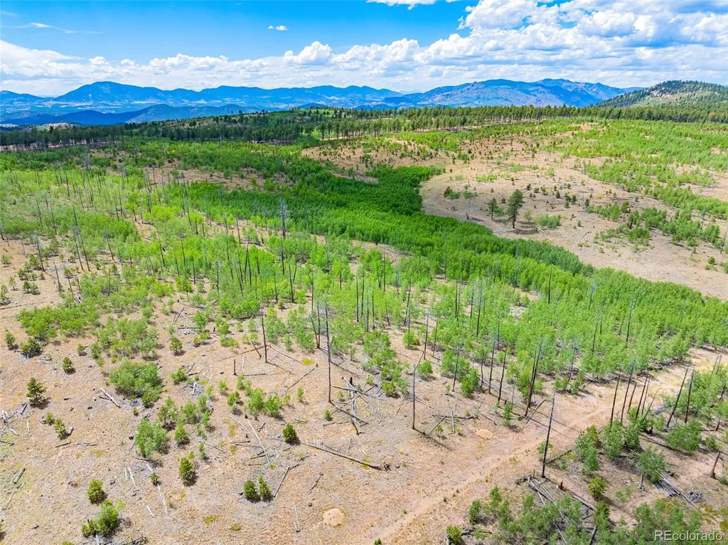 Lot 2 County Road 51 Florissant CO 80816