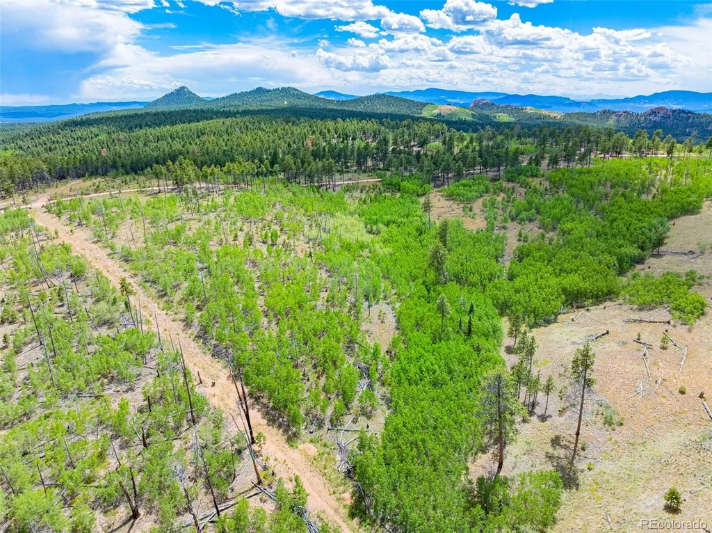 Lot 2 County Road 51 Florissant CO 80816