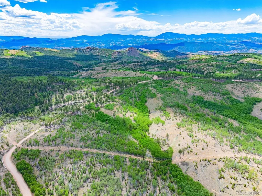 Lot 2 County Road 51 Florissant CO 80816